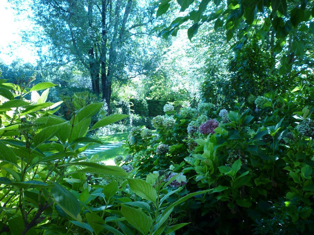 B&B Villa Dei Pini Domegliara Экстерьер фото