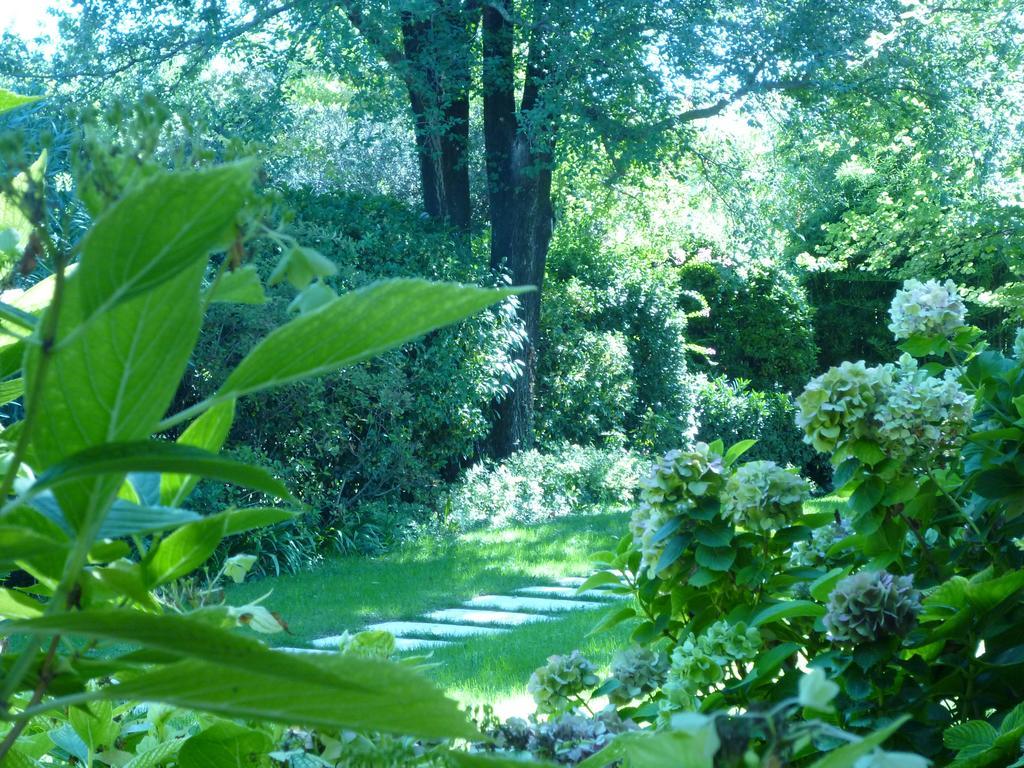 B&B Villa Dei Pini Domegliara Экстерьер фото