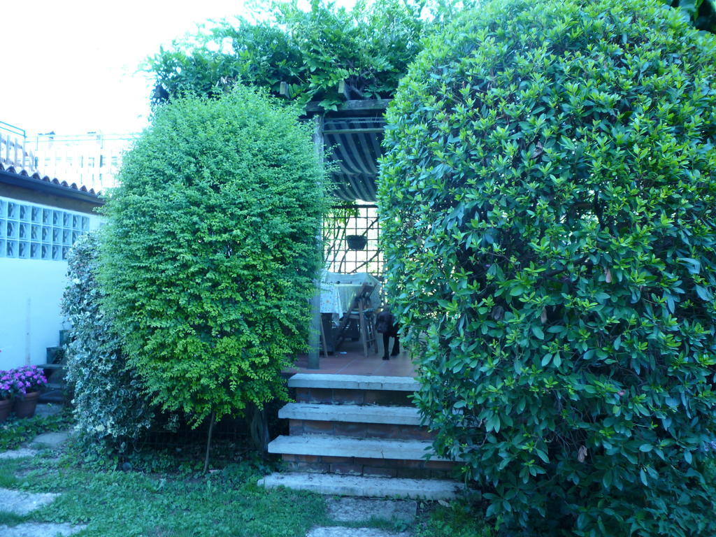 B&B Villa Dei Pini Domegliara Экстерьер фото